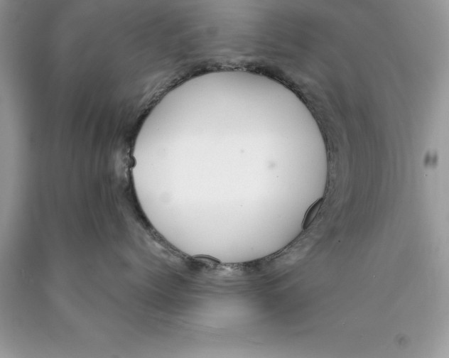 X0000089970768200707271921