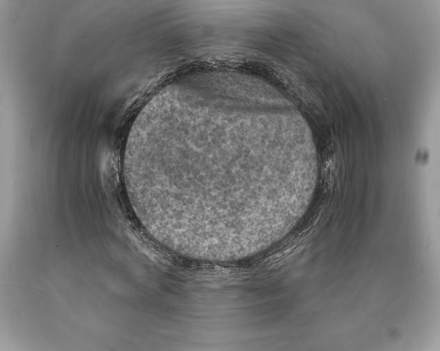 X0000089970772200707271920