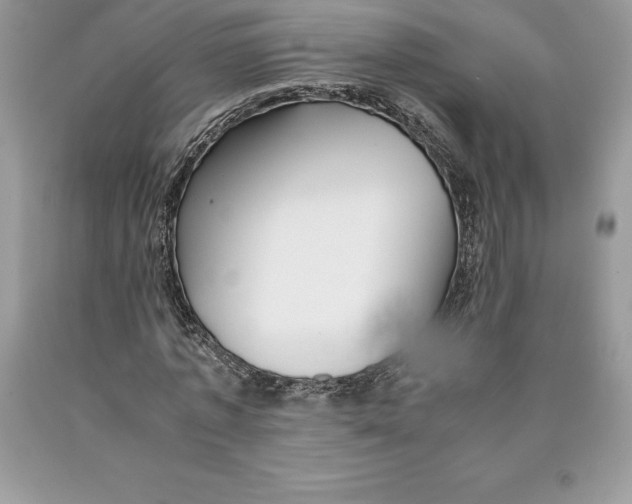 X0000089970773200707271920