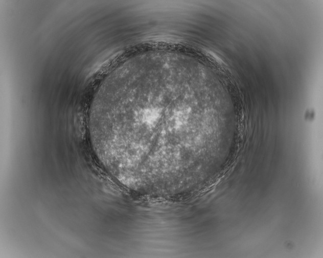 X0000089970774200707271920