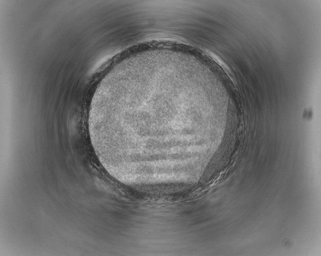 X0000089970775200707271920