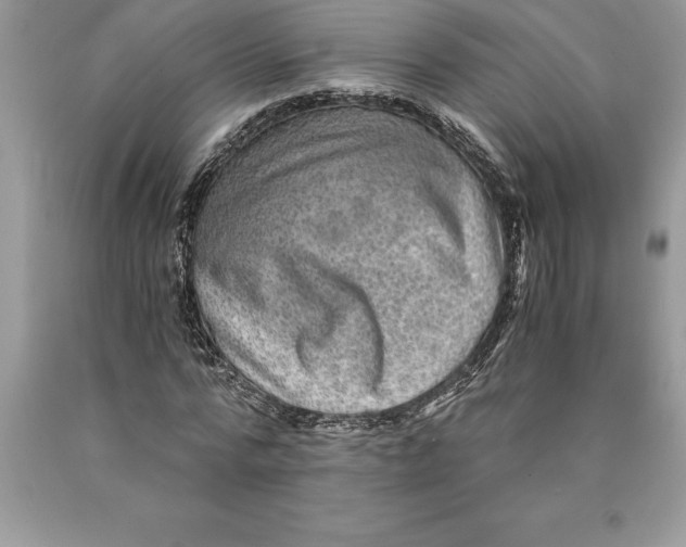 X0000089970776200707271920