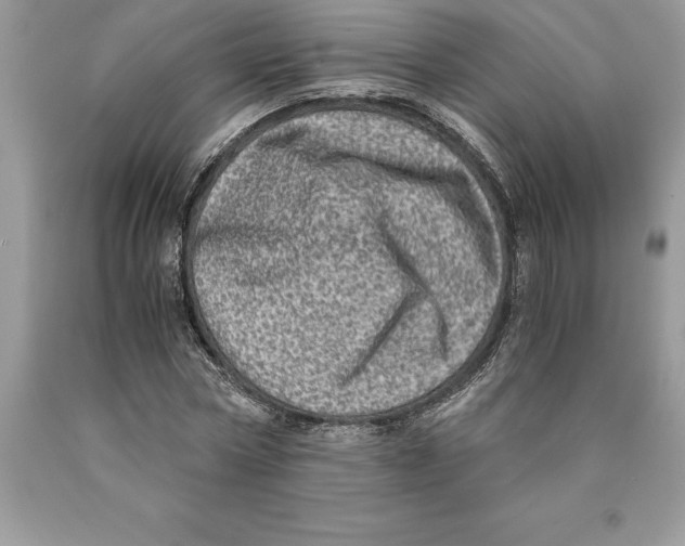 X0000089970778200707271920