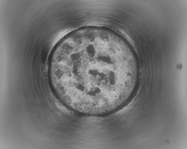 X0000089970779200707271920