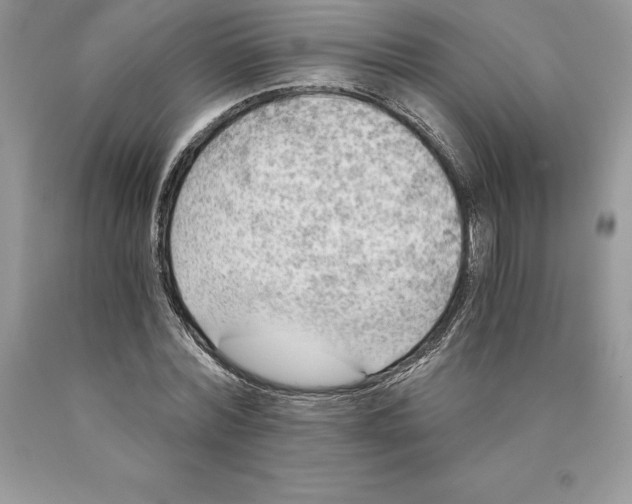 X0000089970780200707271920