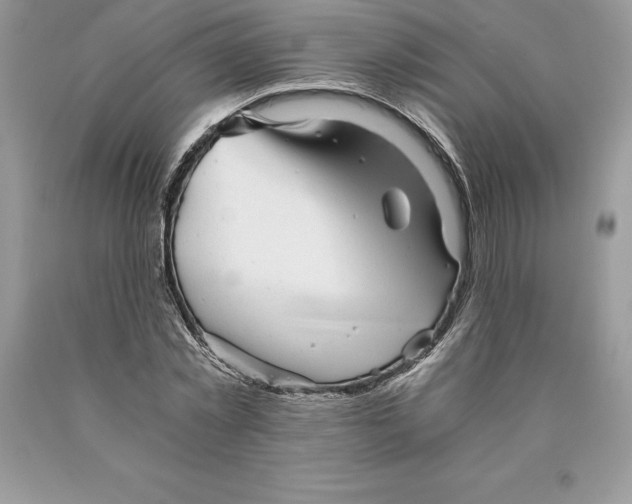 X0000089970781200707271920