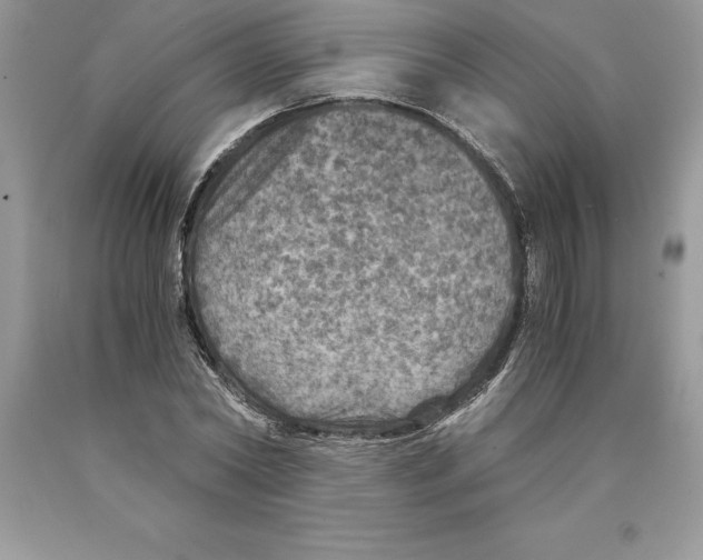 X0000089970782200707271920