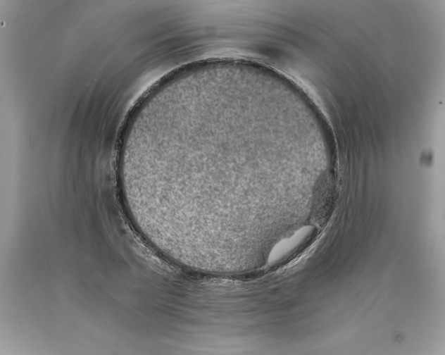 X0000089970783200707271920