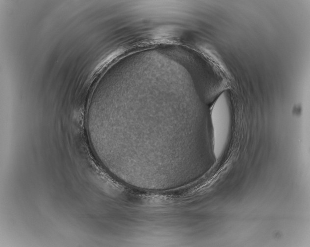 X0000089970785200707271920