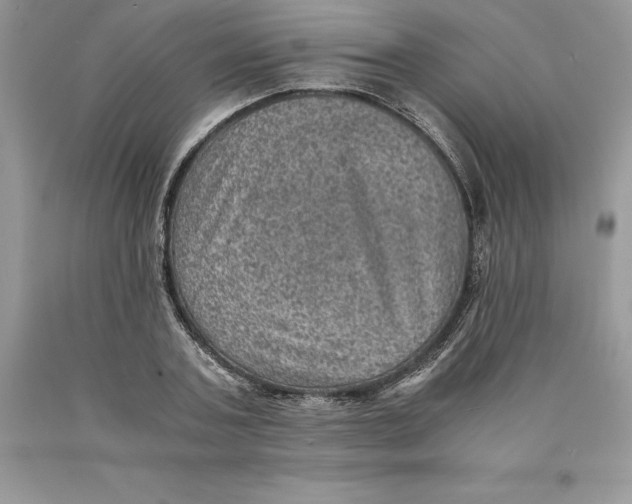 X0000089970787200707271920