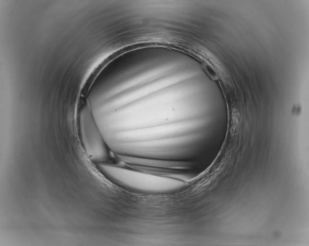 X0000089970788200707271920