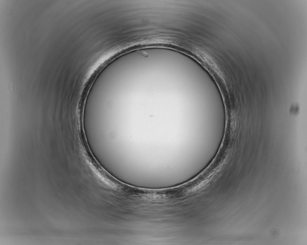 X0000089970789200707271920