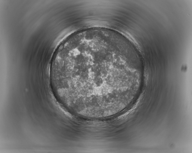 X0000089970790200707271920