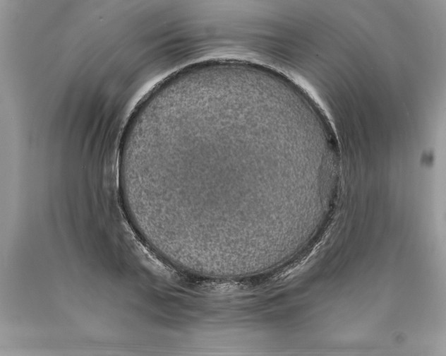 X0000089970791200707271920