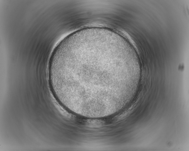 X0000089970795200707271920