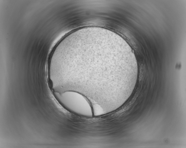 X0000089970796200707271920