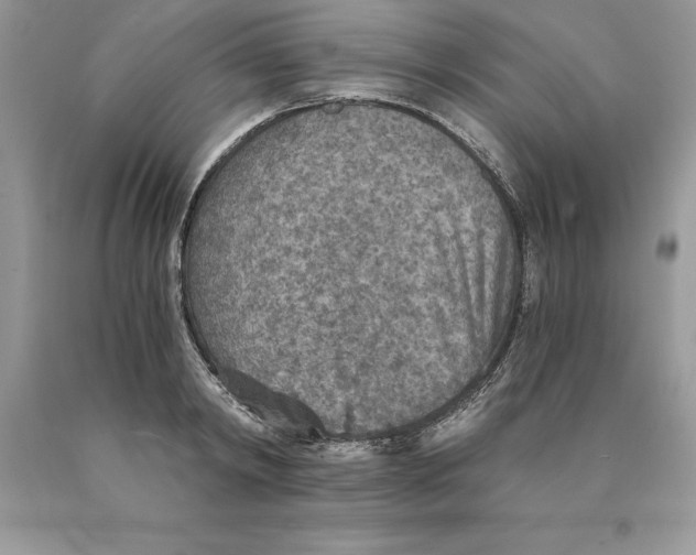 X0000089970798200707271920