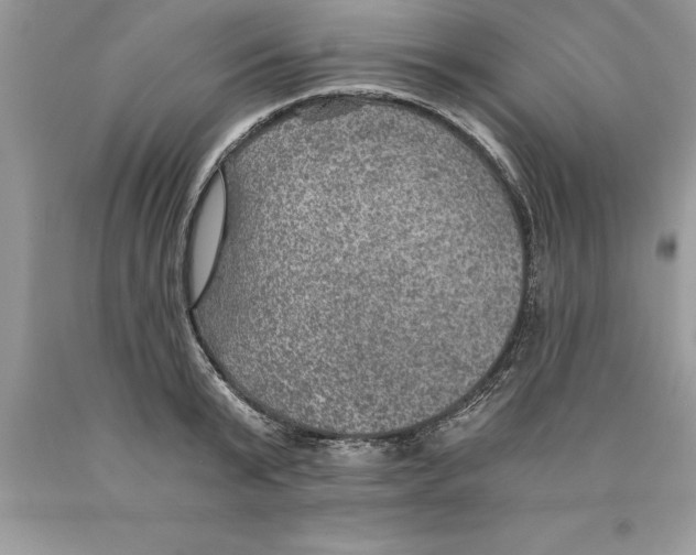 X0000089970799200707271920