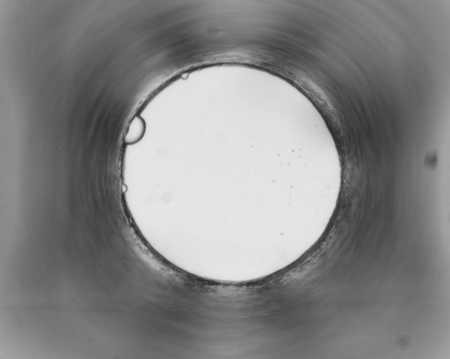 X0000089970800200707271920