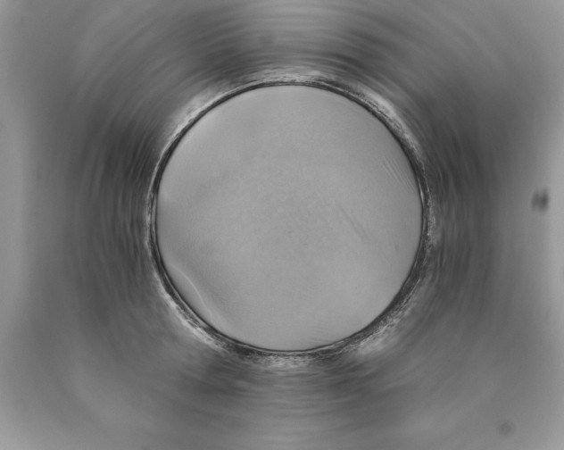 X0000089970802200707271920