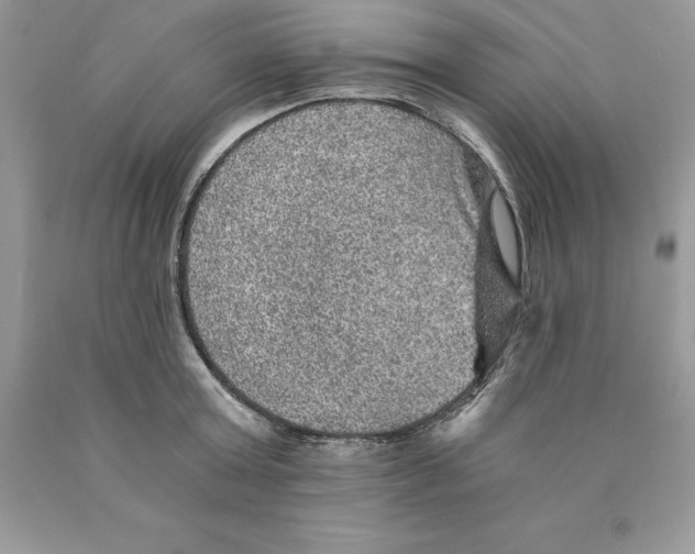 X0000089970803200707271920