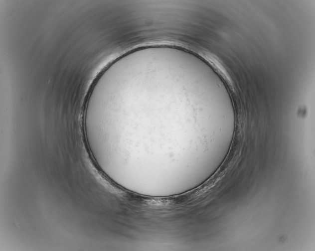 X0000089970805200707271920