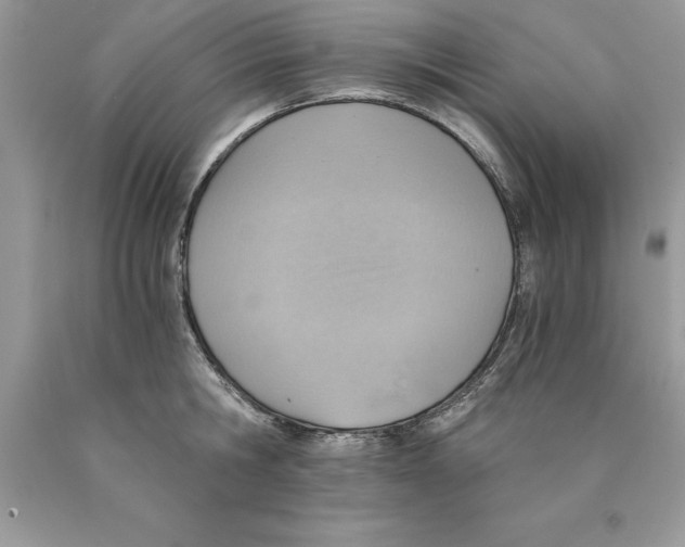 X0000089970806200707271920