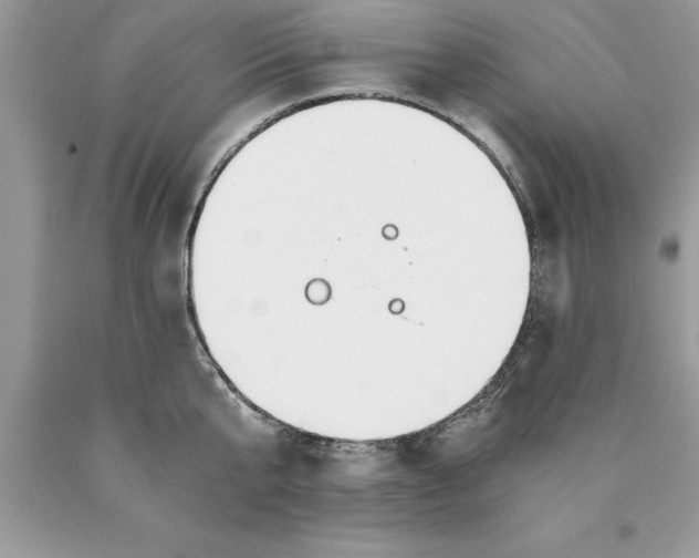 X0000089970807200707271920