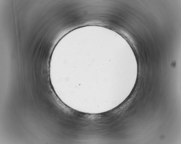 X0000089970808200707271920