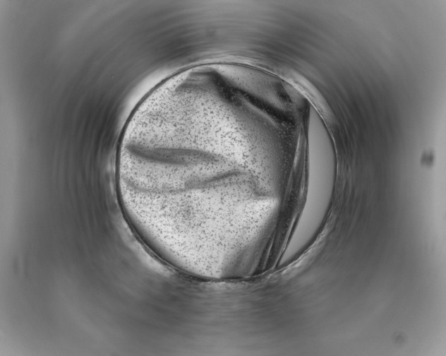 X0000089970812200707271920