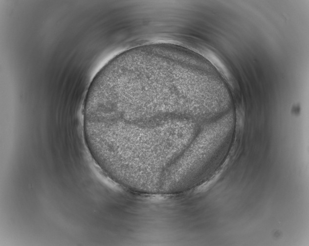 X0000089970814200707271920