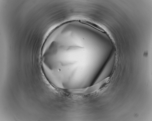 X0000089970815200707271920