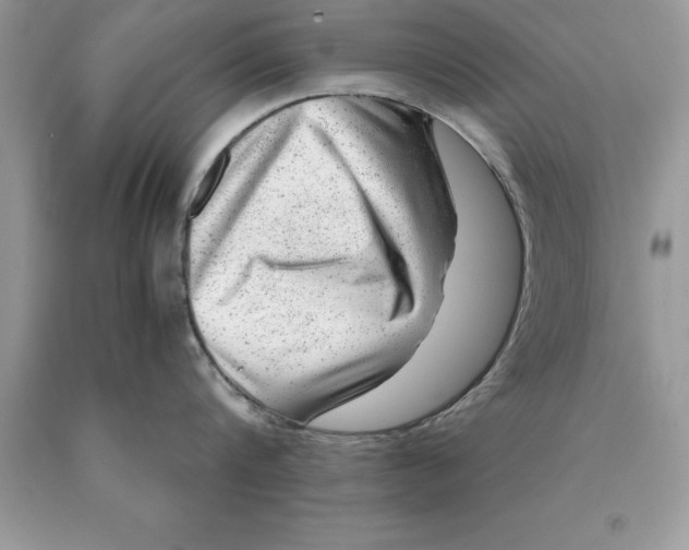 X0000089970816200707271920