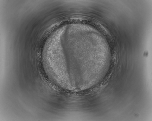 X0000089970821200707271919