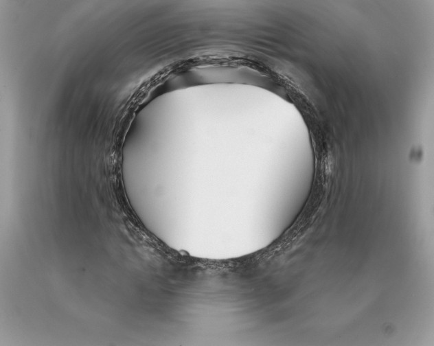 X0000089970822200707271919