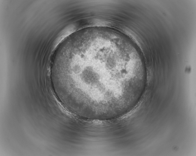 X0000089970827200707271919