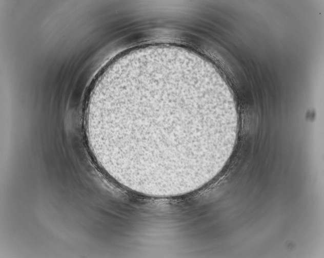 X0000089970828200707271919