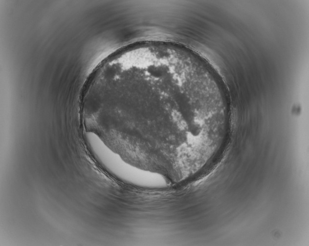 X0000089970829200707271919