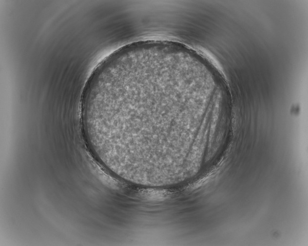 X0000089970831200707271919