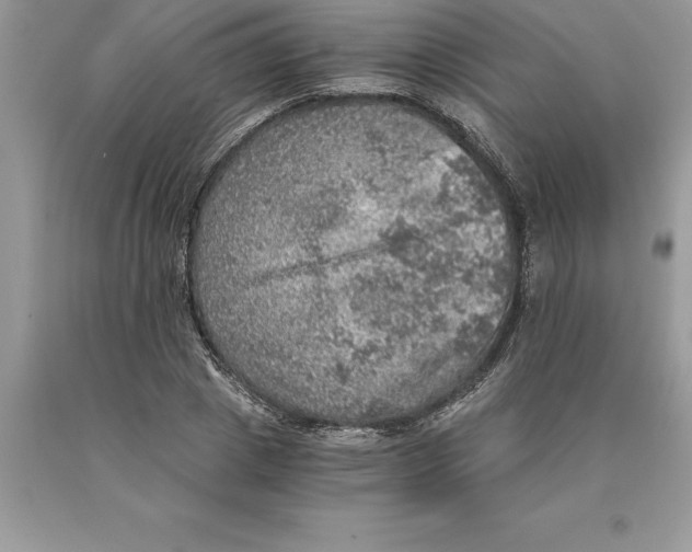 X0000089970833200707271920