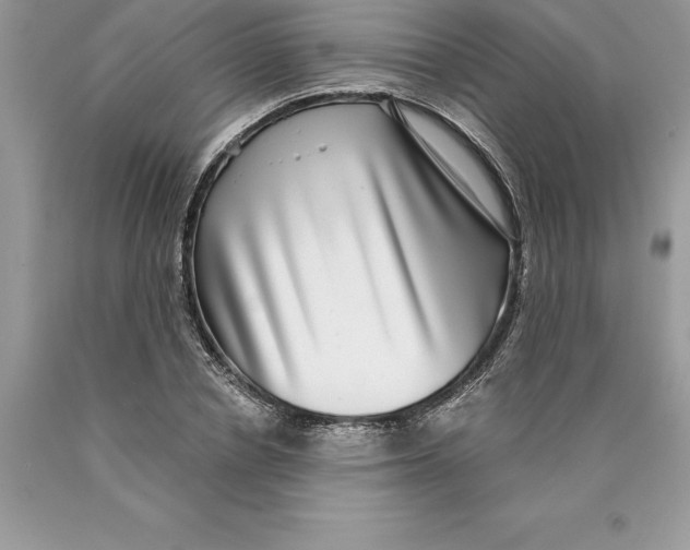 X0000089970834200707271920