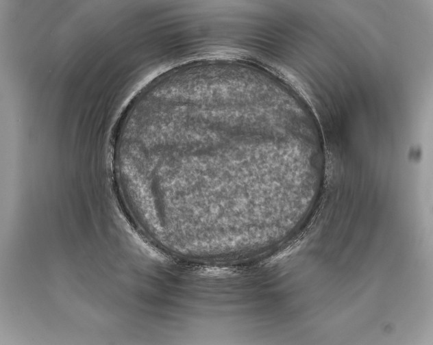 X0000089970835200707271920