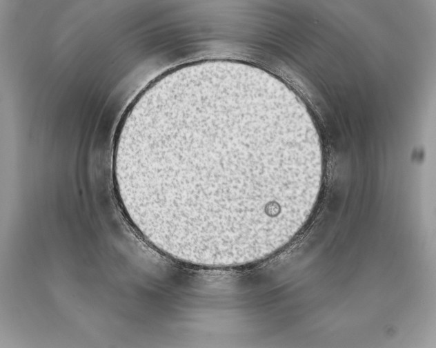 X0000089970836200707271920