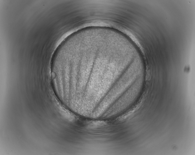 X0000089970837200707271920