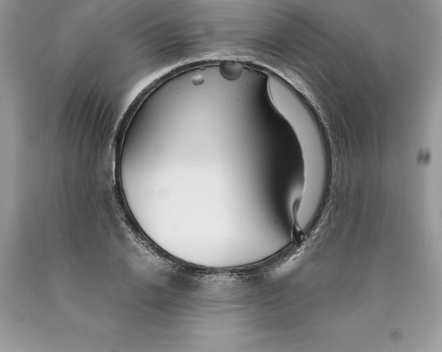 X0000089970838200707271920