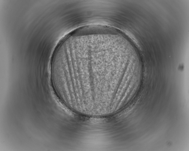 X0000089970840200707271920