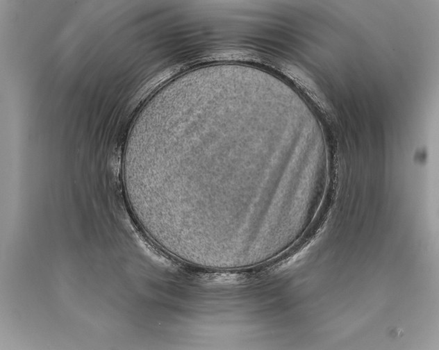 X0000089970841200707271920