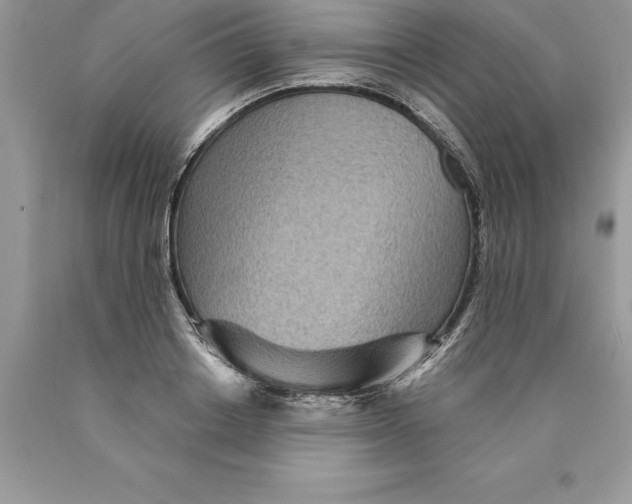 X0000089970842200707271920