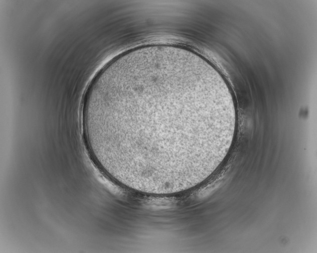 X0000089970843200707271920