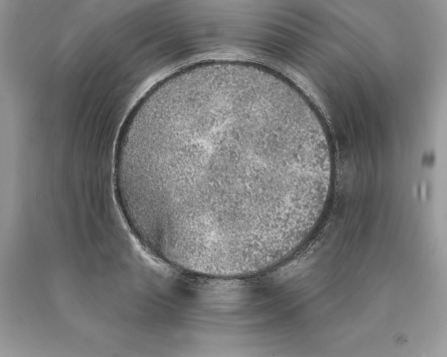 X0000089970845200707271920